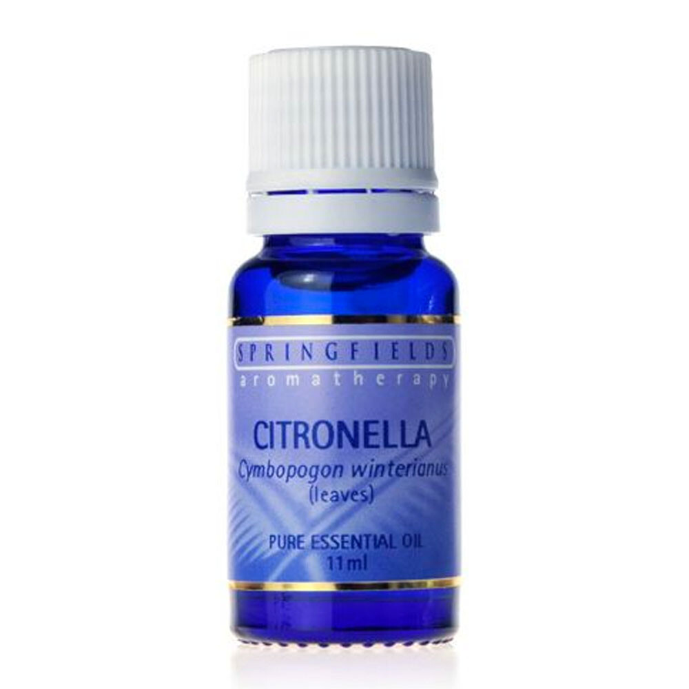 Citronella 