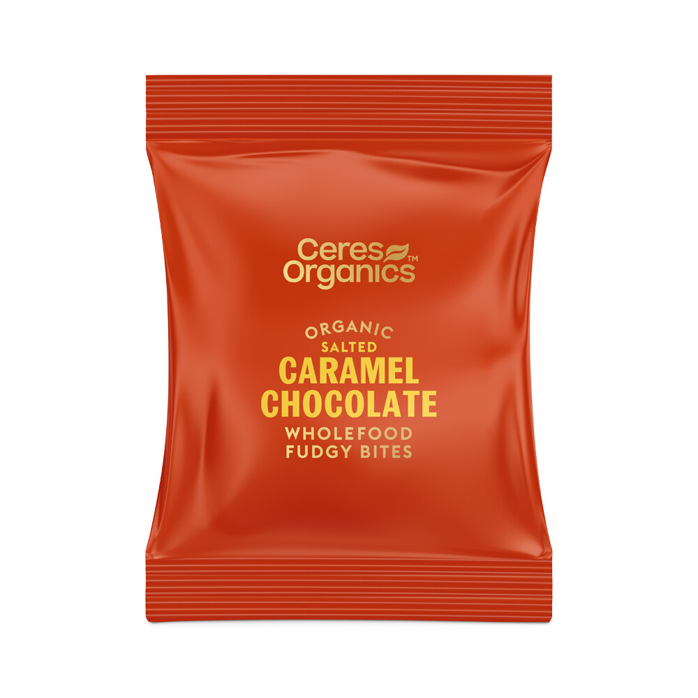Fudgy Bites - Salted Caramel Chocolate COUNTER DISPLAY 