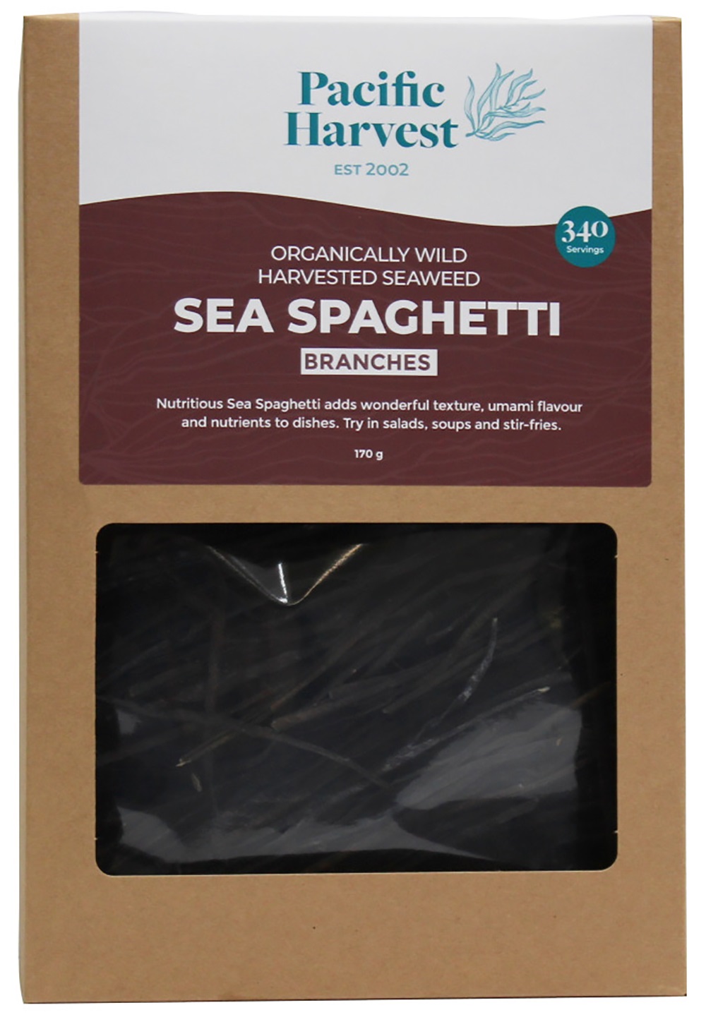 Sea Spaghetti Branches