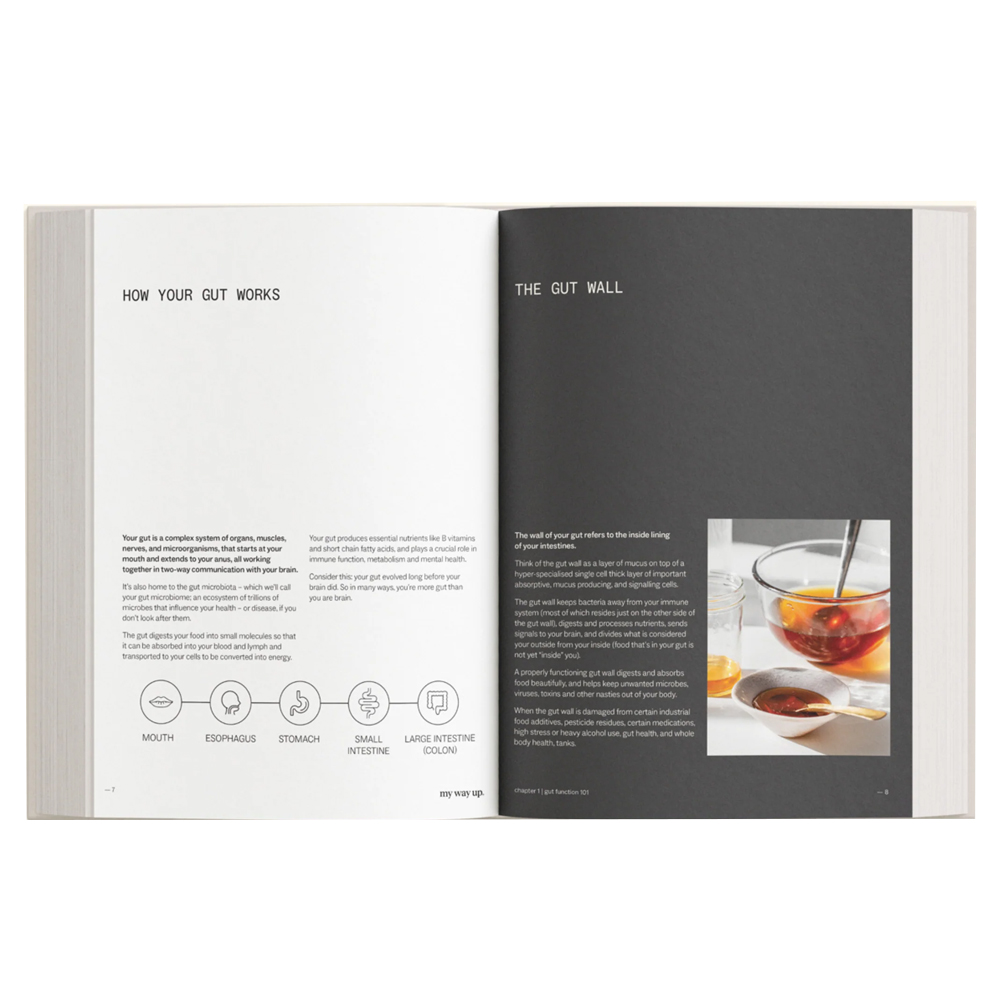 Gut Health For Life - A Simple Guide To Healing Your Gut - Recipe Book