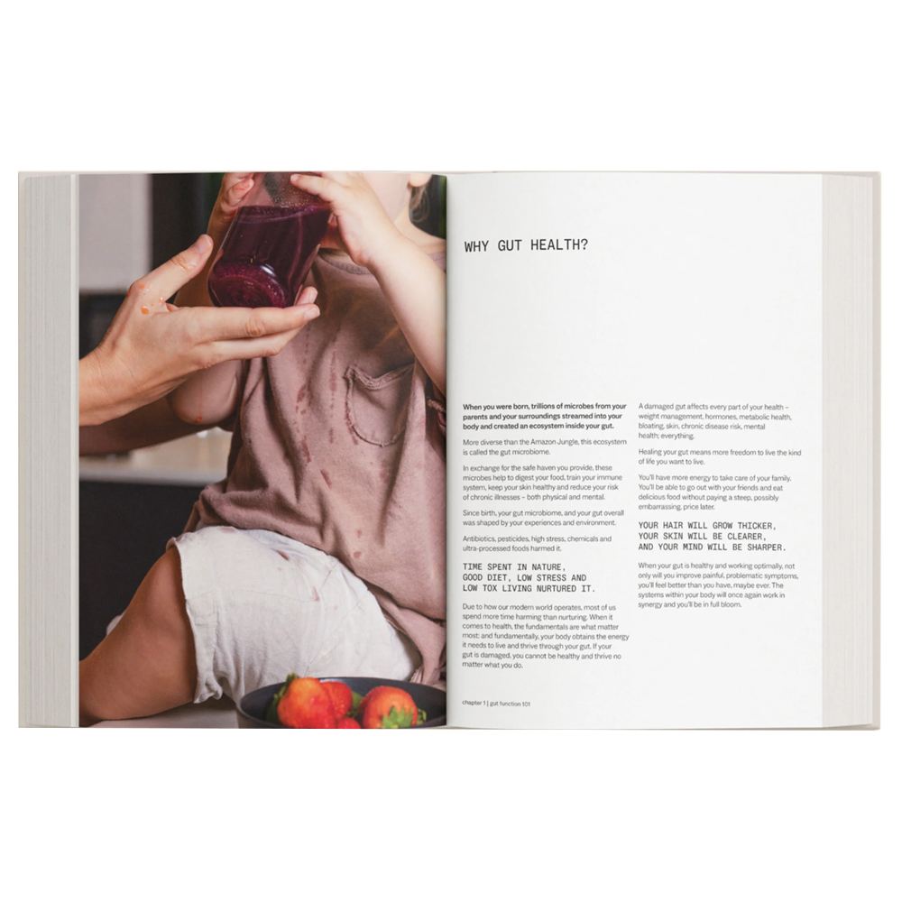 Gut Health For Life - A Simple Guide To Healing Your Gut - Recipe Book — image 3