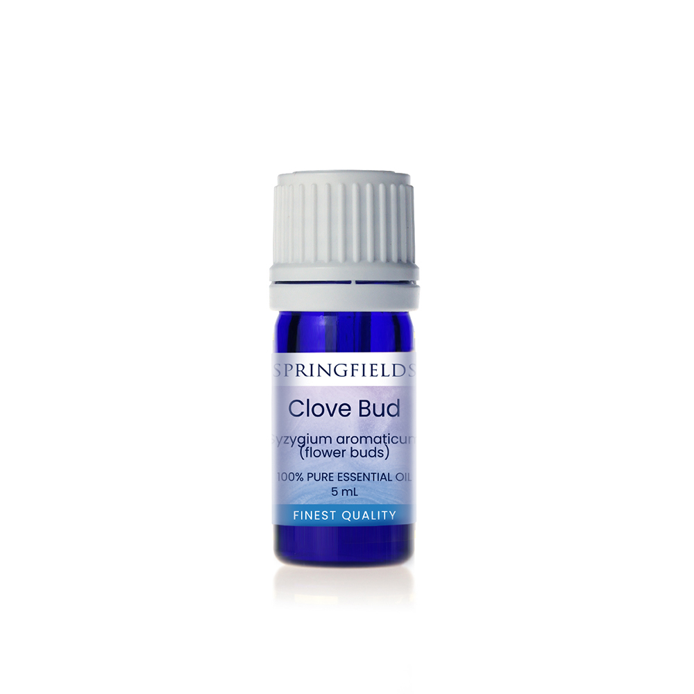 Clove Bud 
