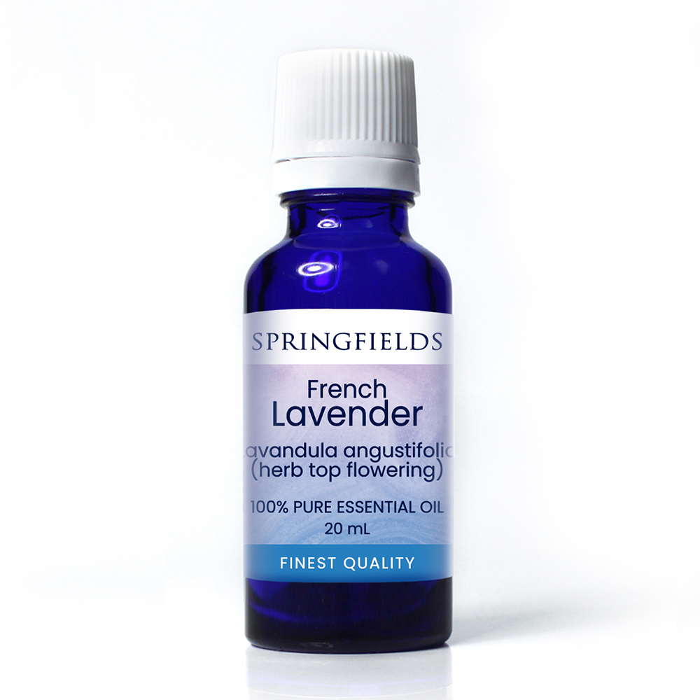 Lavender (French)