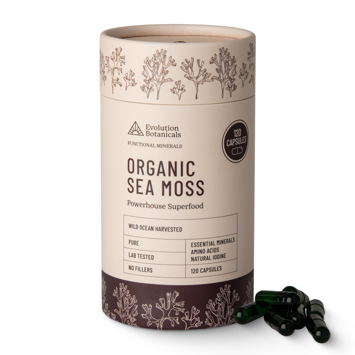 Organic Sea Moss Tube
