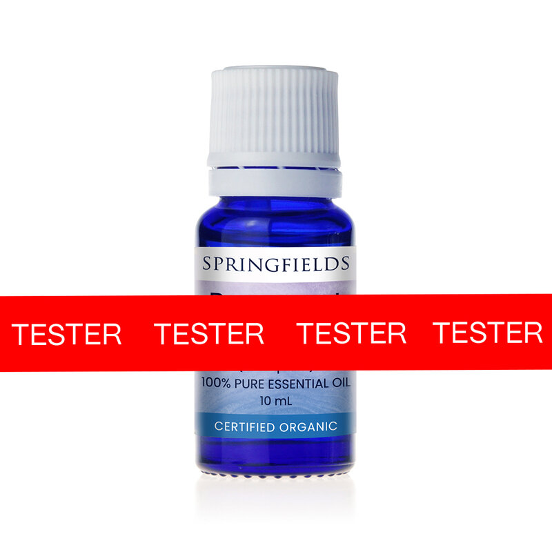Rejuvenate - TESTER